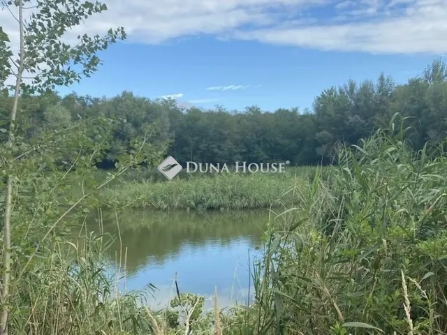 Eladó telek Vitnyéd 60772 nm