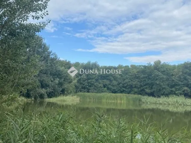 Eladó telek Vitnyéd 60772 nm