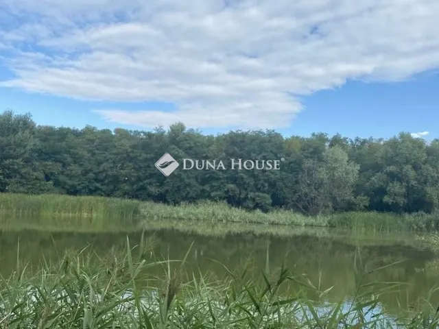 Eladó telek Vitnyéd 60772 nm