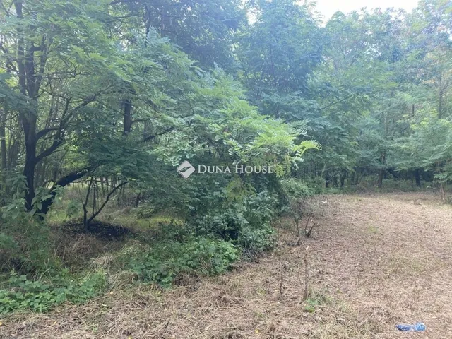 Eladó telek Vitnyéd 60772 nm