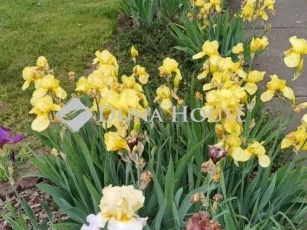 Eladó ház Cegléd 62 nm