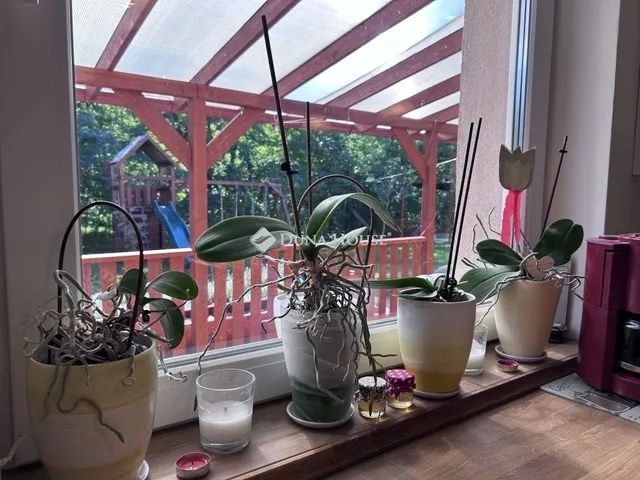 Eladó ház Erdőkertes 120 nm