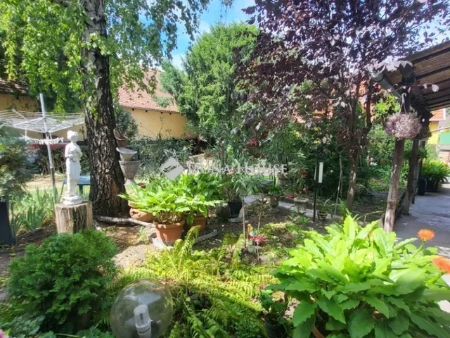 Eladó ház Szentendre, Belváros 237 nm