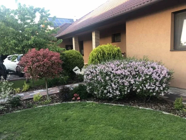 Eladó ház Dunakeszi 155 nm