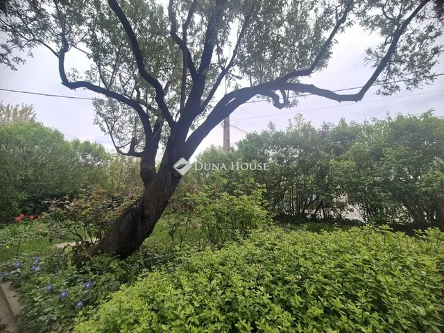 Kiadó lakás Budapest III. kerület 57 nm