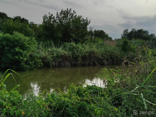 Eladó telek Szeged, Újszeged, Bertalan utca 11 863 nm