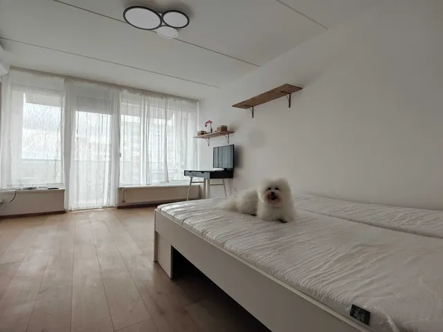 Kiadó lakás Pécs, Kertváros 29 nm