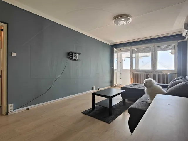 Eladó lakás Székesfehérvár, Szedreskert, Palotai út 65 52 nm