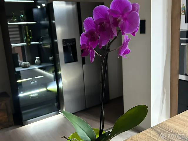 Eladó ház Szombathely, Belváros 195 nm