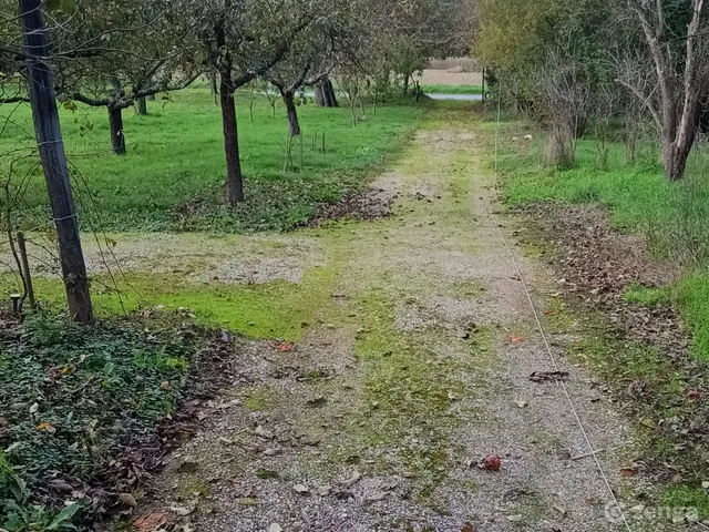 Eladó mezőgazdasági ingatlan Sármellék 4000 nm