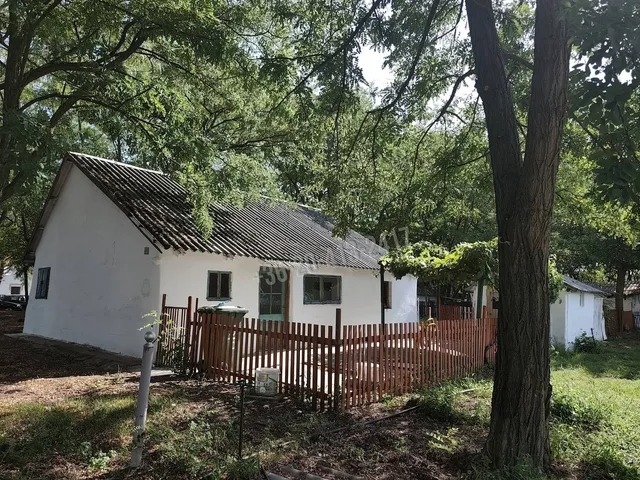 Eladó mezőgazdasági ingatlan Lajosmizse, Bene tanya 61 nm