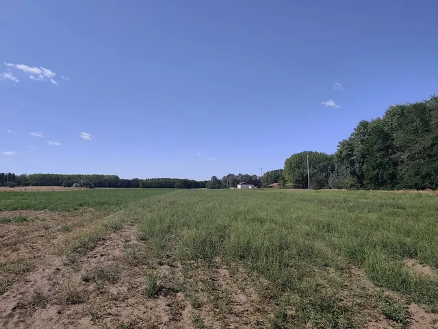 Eladó telek Hernád 8017 nm