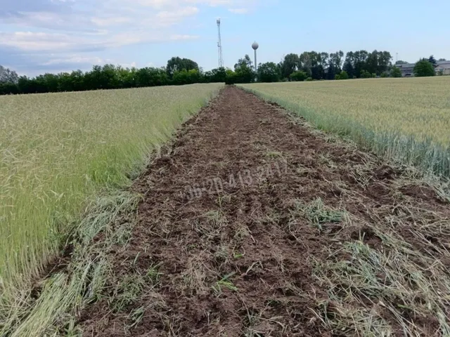 Eladó telek Albertirsa 1 nm