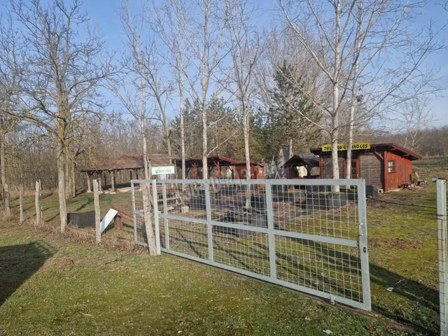 Eladó mezőgazdasági ingatlan Táborfalva, Kecskeméti út 60 nm