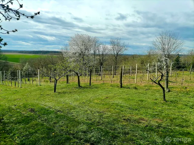 Eladó mezőgazdasági ingatlan Csurgó 4235 nm