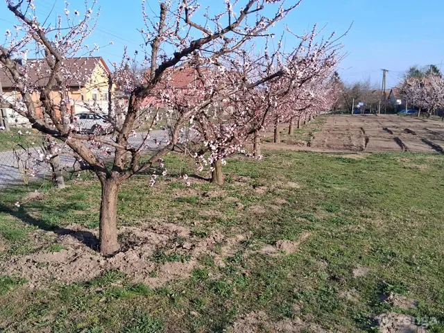 Eladó telek Gomba, Rákóczi út 932 nm