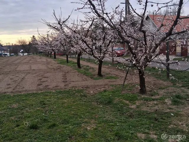 Eladó telek Gomba, Rákóczi út 932 nm