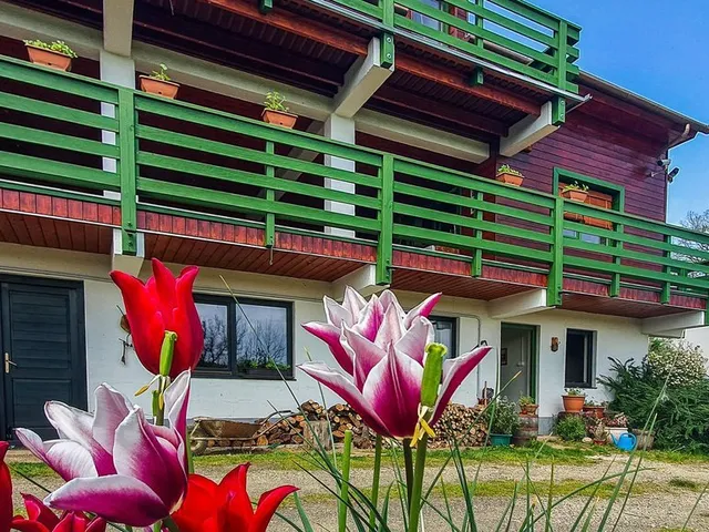 Eladó kereskedelmi és ipari ingatlan Lispeszentadorján 950 nm