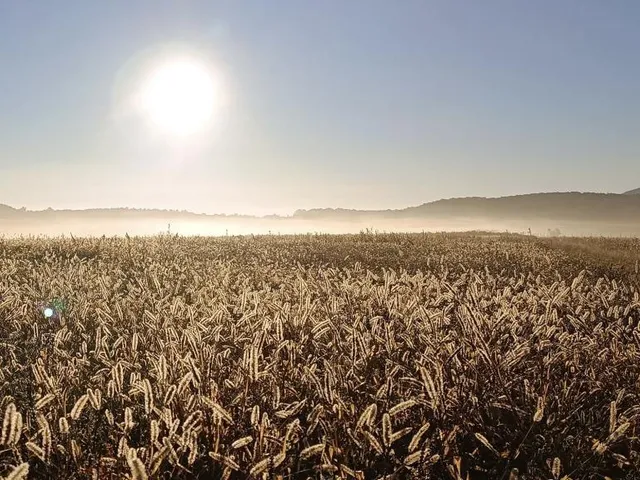 Eladó ház Berkenye 100 nm