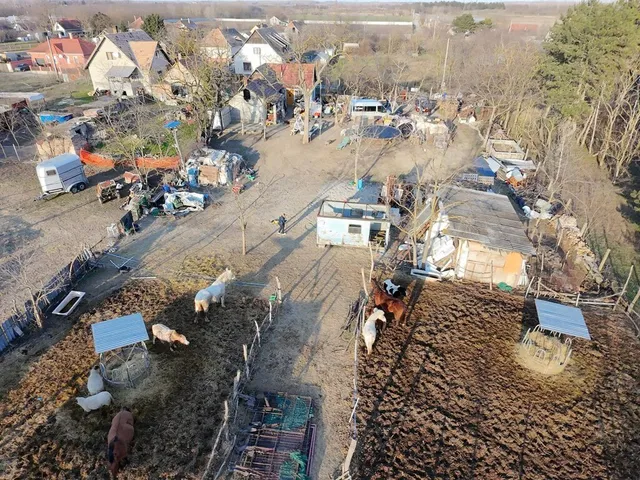 Eladó telek Délegyháza 3314 nm