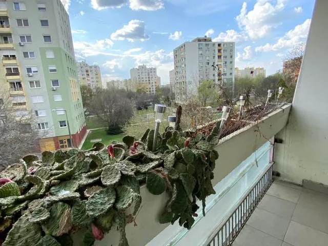 Eladó lakás Szeged, Makkosház, Gyöngyvirág utca 55 nm