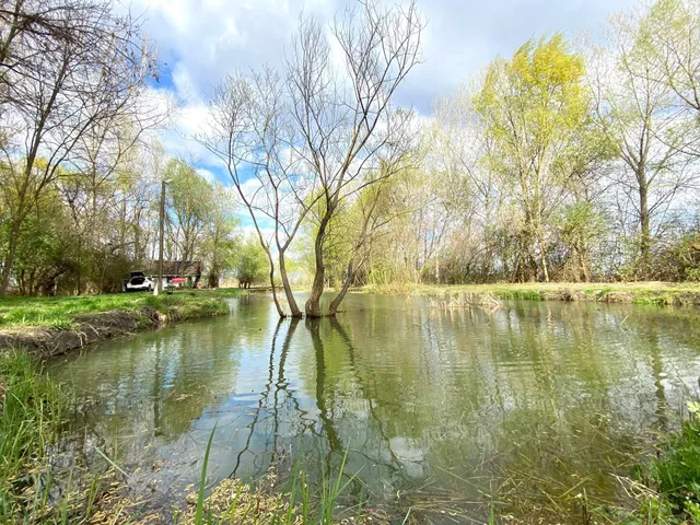 Eladó mezőgazdasági ingatlan Bordány 12 nm