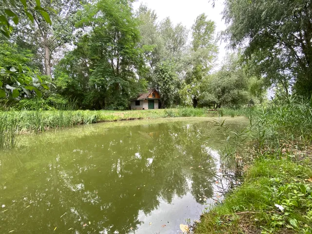 Eladó mezőgazdasági ingatlan Bordány 6393 nm