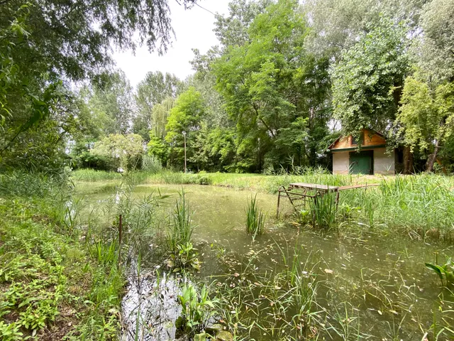Eladó mezőgazdasági ingatlan Bordány 6393 nm