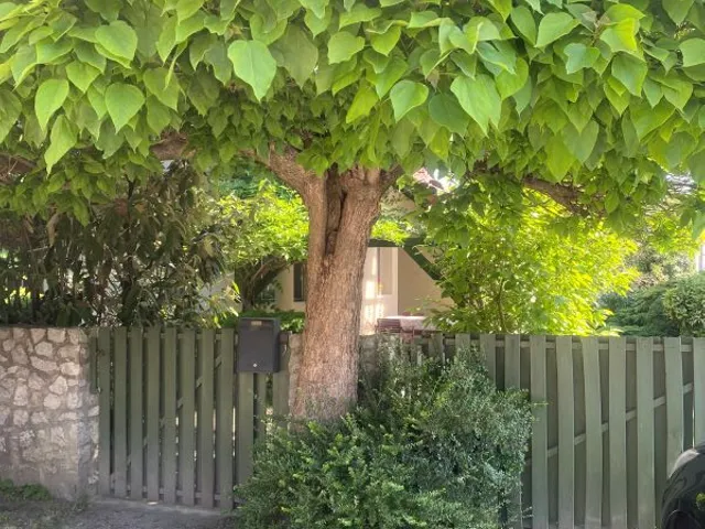 Eladó ház Székesfehérvár, Őrhalmiszőlők, Szilva 160 nm