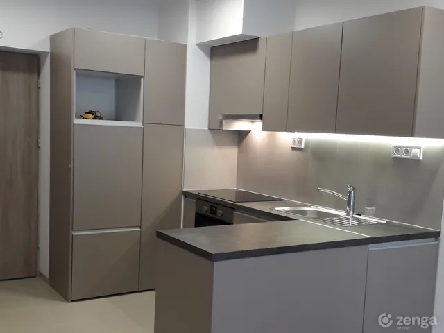 Kiadó lakás Budapest XIII. kerület, Vizafogó 58 nm