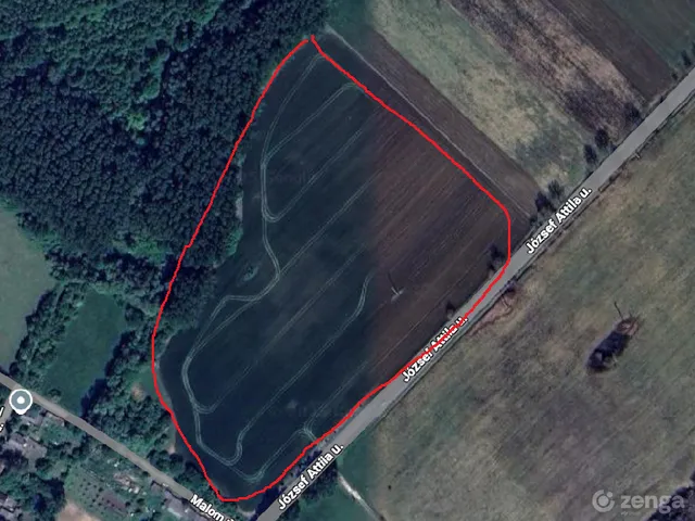 Eladó mezőgazdasági ingatlan Nemesgulács 49016 nm