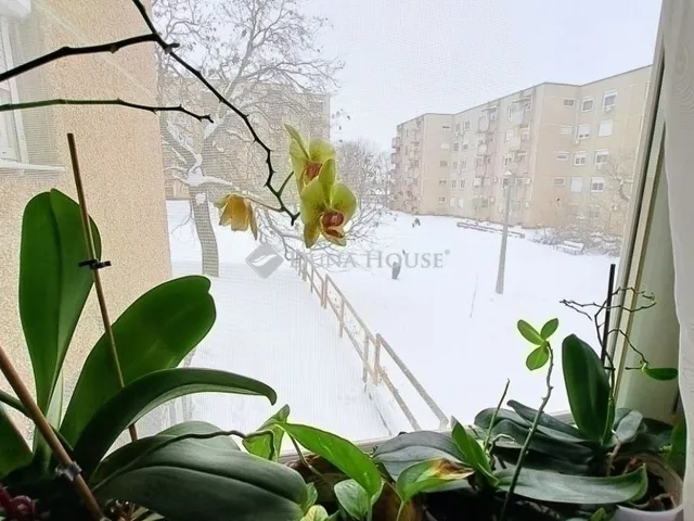 Eladó lakás Budapest XVII. kerület 74 nm