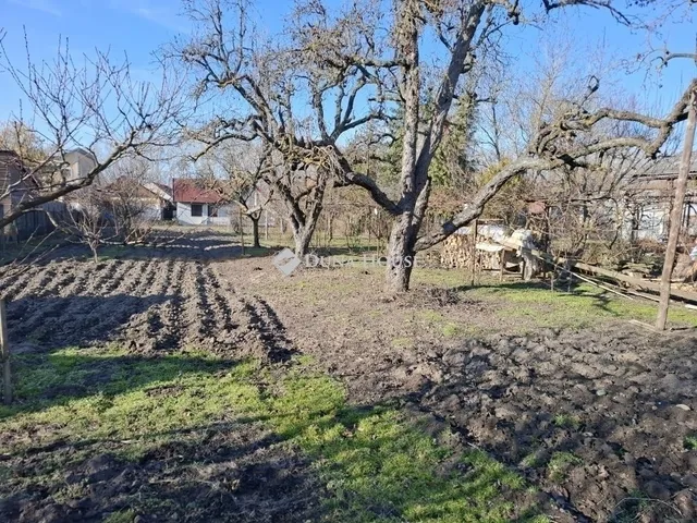 Eladó ház Budapest XVII. kerület 217 nm