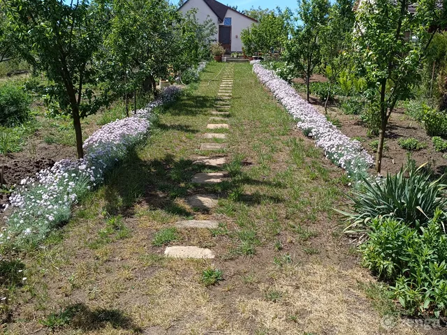 Eladó telek Debrecen, Szikigyakor 718 nm