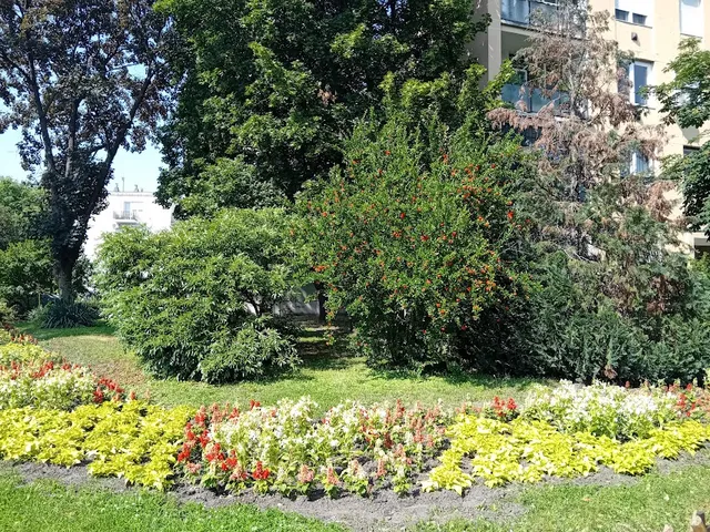 Kiadó lakás Budapest IX. kerület 58 nm