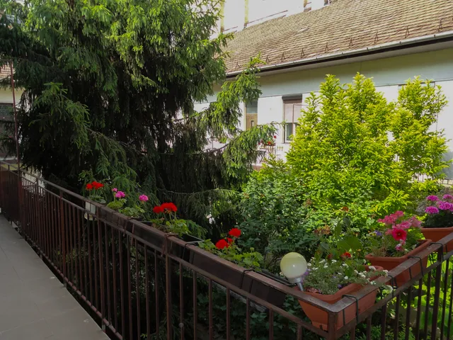 Eladó lakás Budapest XIII. kerület, Vizafogó 78 nm