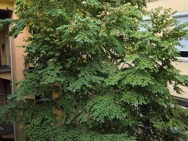 Eladó lakás Budapest V. kerület, Dél-Belváros 56 nm