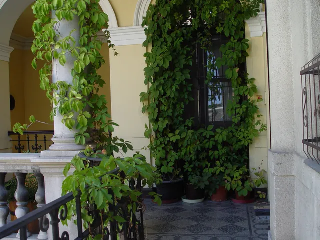 Eladó lakás Budapest VI. kerület 122 nm