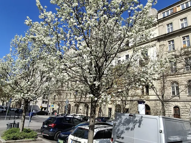 Kiadó kereskedelmi és ipari ingatlan Budapest V. kerület, Belváros 120 nm