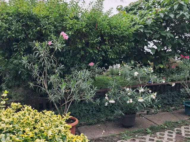 Eladó ház Budapest XXIII. kerület 75 nm