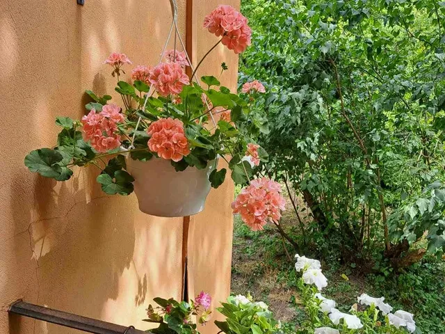 Eladó lakás Budapest I. kerület 76 nm