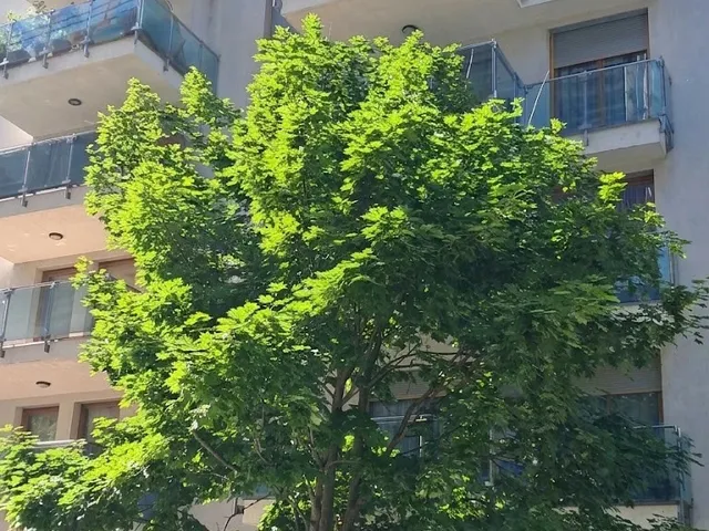 Eladó lakás Budapest XIII. kerület 45 nm