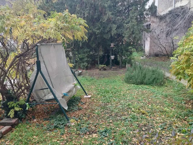 Kiadó lakás Budapest XIII. kerület, Angyalföld 35 nm