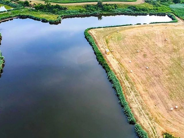 Eladó mezőgazdasági ingatlan Mezőszilas 50000 nm