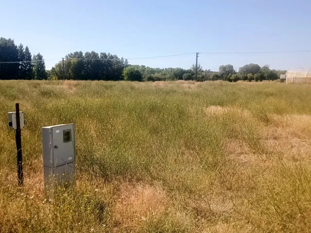 Eladó telek Kunbaracs 1500 nm