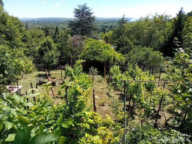 Eladó telek Szentendre, Tyúkosdűlő 957 nm