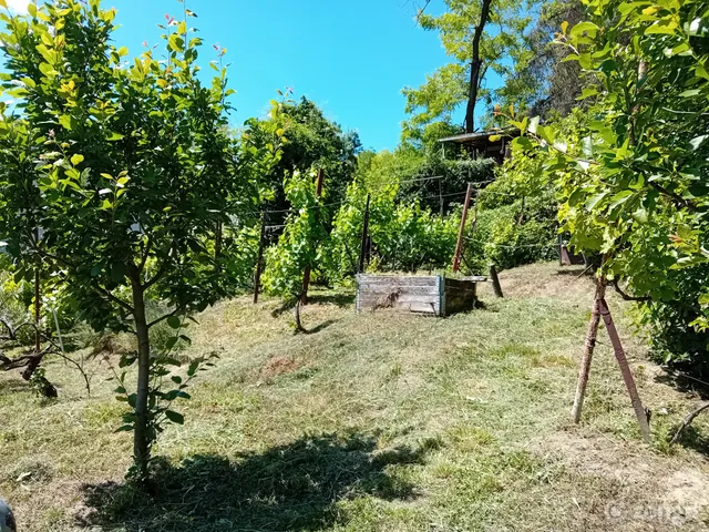 Eladó telek Szentendre, Tyúkosdűlő 957 nm