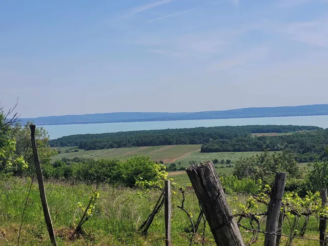 Eladó telek Monoszló 12905 nm