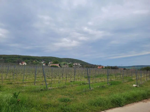 Eladó mezőgazdasági ingatlan Tagyon 10822 nm