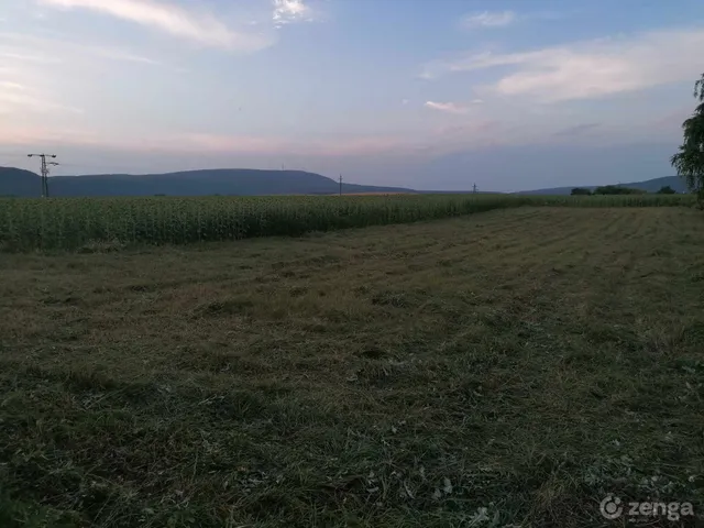 Eladó telek Tarján 1000 nm